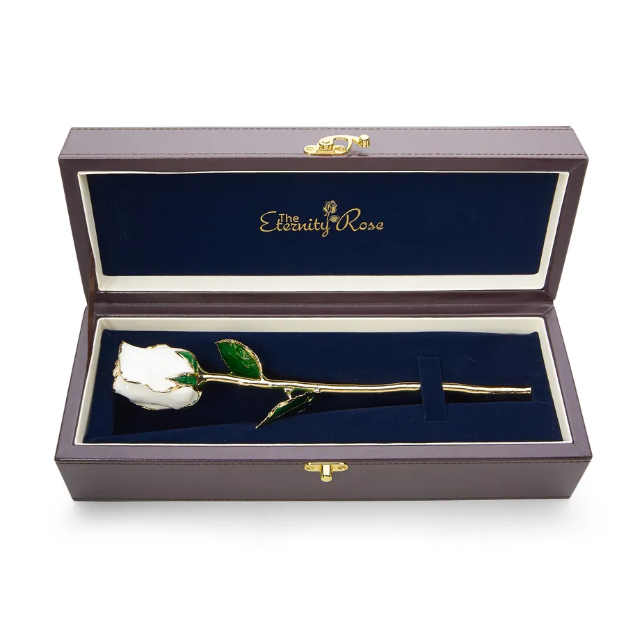 A pearl white glazed natural rose trimmed in gold in its presentation case