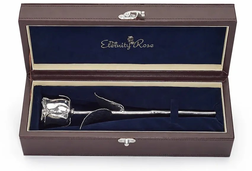 A genuine natural rose preserved in silver in its presentation case